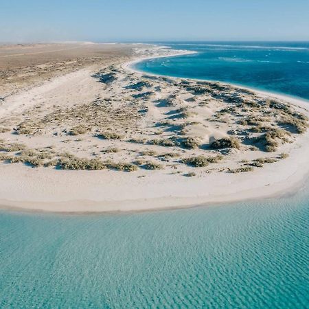Gnaraloo Station - Homestead Carnarvon Kültér fotó
