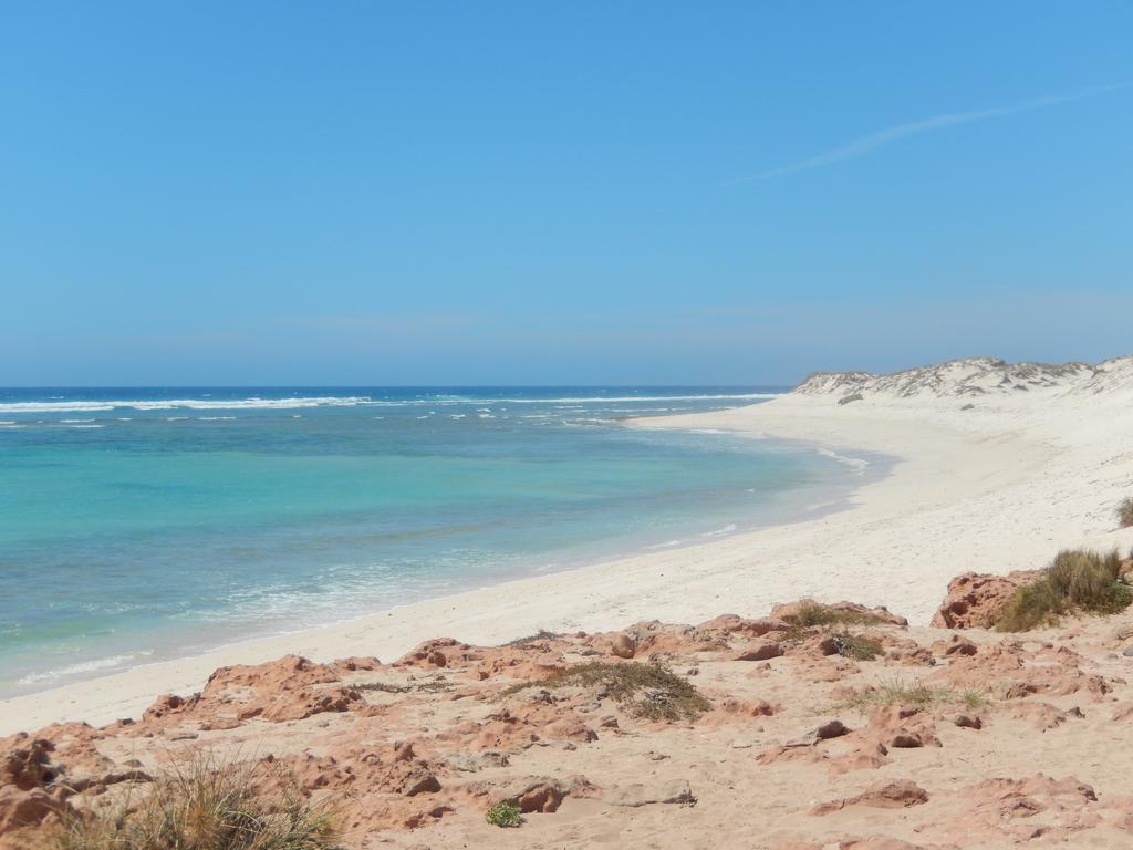 Gnaraloo Station - Homestead Carnarvon Kültér fotó