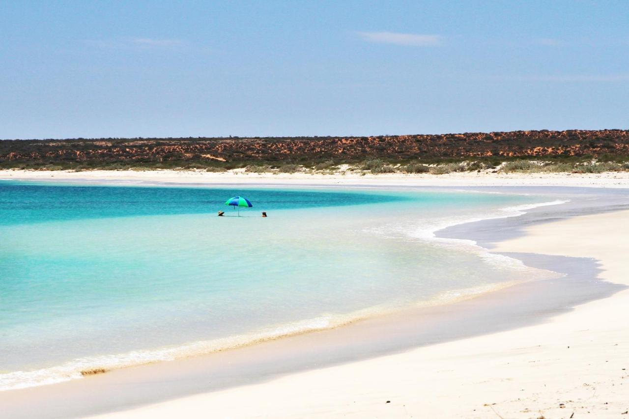 Gnaraloo Station - Homestead Carnarvon Kültér fotó